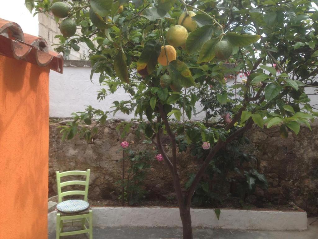 B&B Duca D'Aosta Olbia Eksteriør billede